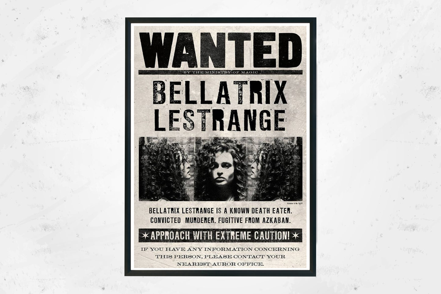 Tela 30x40 Bellatrix Lestrange