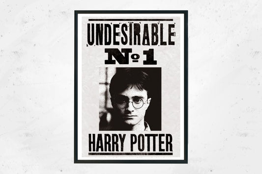 Tela 30x40 Harry Potter